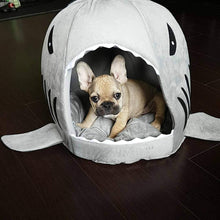 Shark Bed for Cat / Small Dog