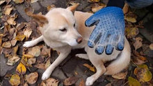 Pet Deshed Glove