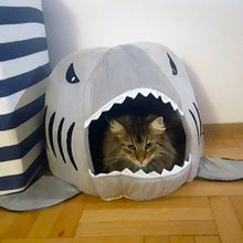 Shark Bed for Cat / Small Dog