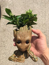 Groot Planter Pot