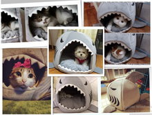 Shark Bed for Cat / Small Dog