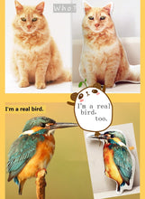 Custom Pet Photo Pillow - Best Gift for Pet Lovers