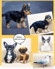 Custom Pet Photo Pillow - Best Gift for Pet Lovers