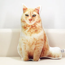 Custom Pet Photo Pillow - Best Gift for Pet Lovers