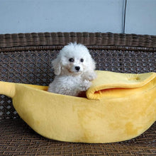 Banana Bed